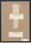 Pleurosigma sp. (de-Toni-Nr.: Genus 13) Zeichnungen Sammlung Grunow Nr. 2163 (NHMW-BOT-W0369220)
